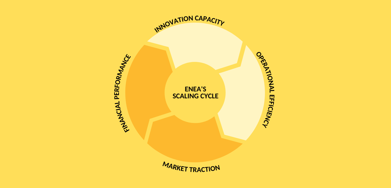 Enea Web 2.0 (14)