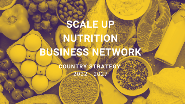 Scale Up Nutrition Business Network Strategy Tanzania